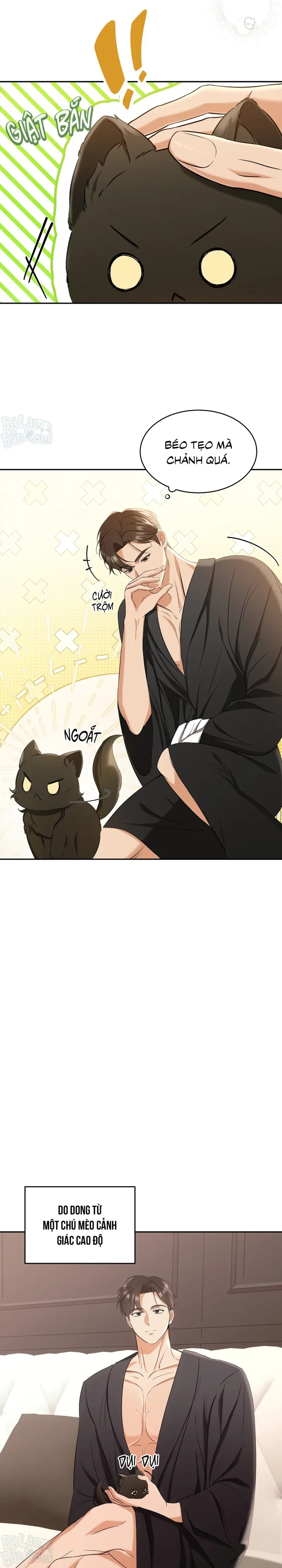 Liệu Pháp Trị Liệu Mèo Chapter 2 Trang 11