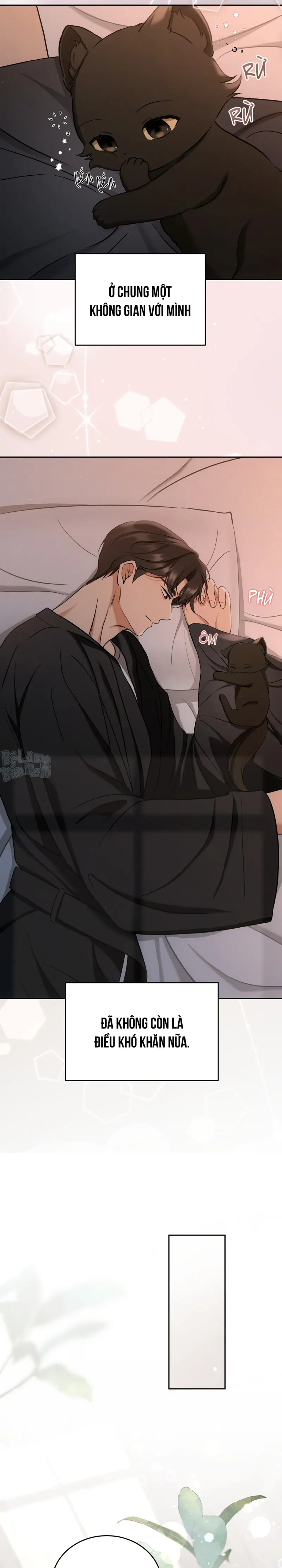 Liệu Pháp Trị Liệu Mèo Chapter 2 Trang 13