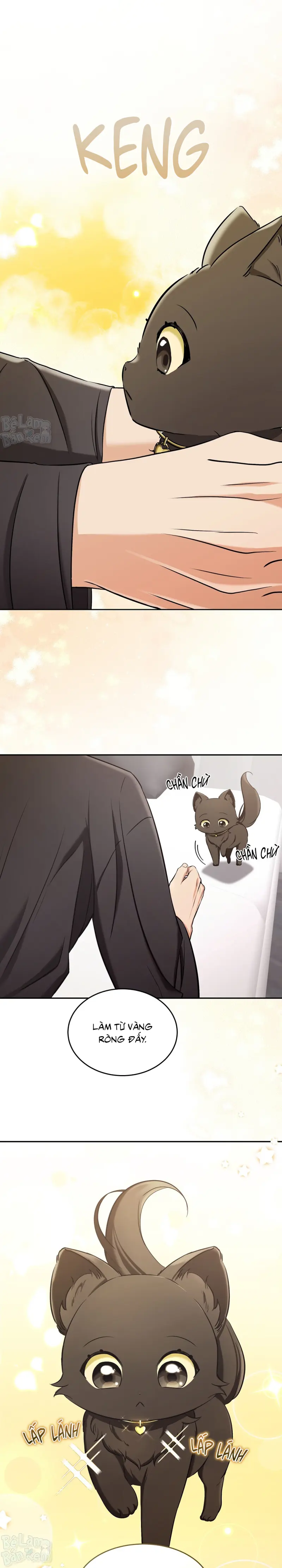Liệu Pháp Trị Liệu Mèo Chapter 2 Trang 17