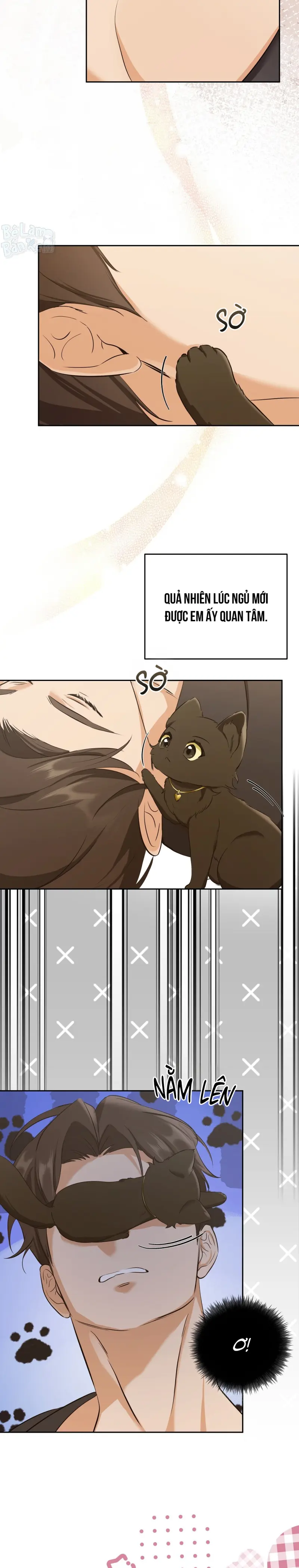Liệu Pháp Trị Liệu Mèo Chapter 3 Trang 10