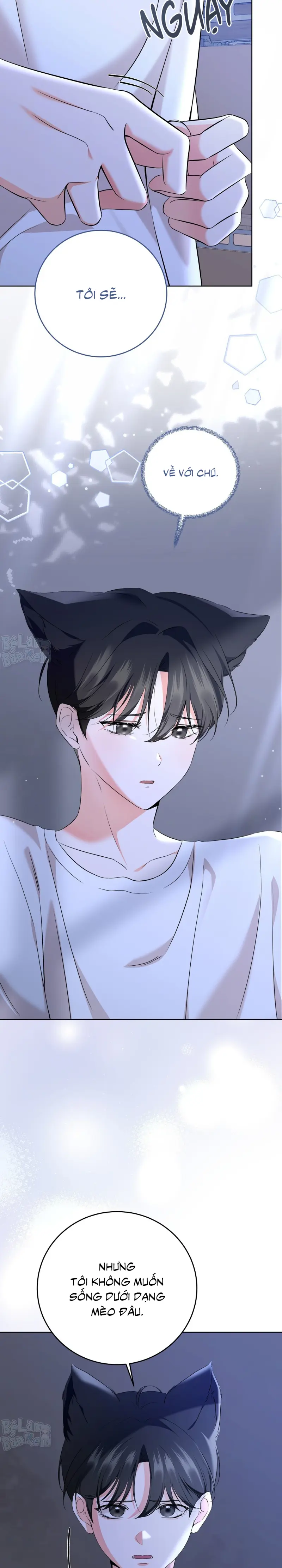 Liệu Pháp Trị Liệu Mèo Chapter 5 Trang 8