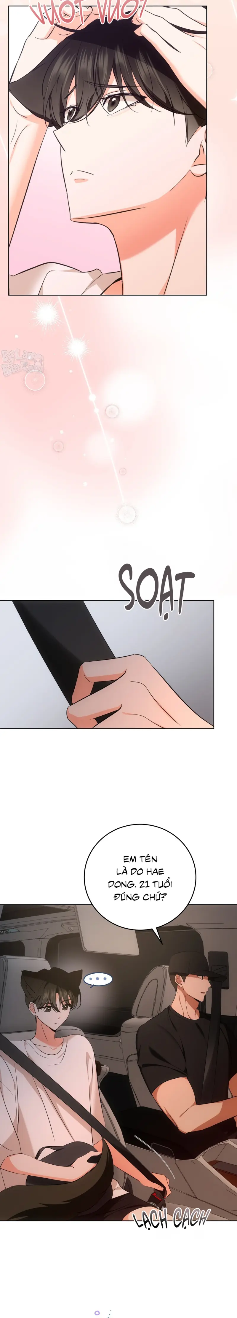 Liệu Pháp Trị Liệu Mèo Chapter 5 Trang 17