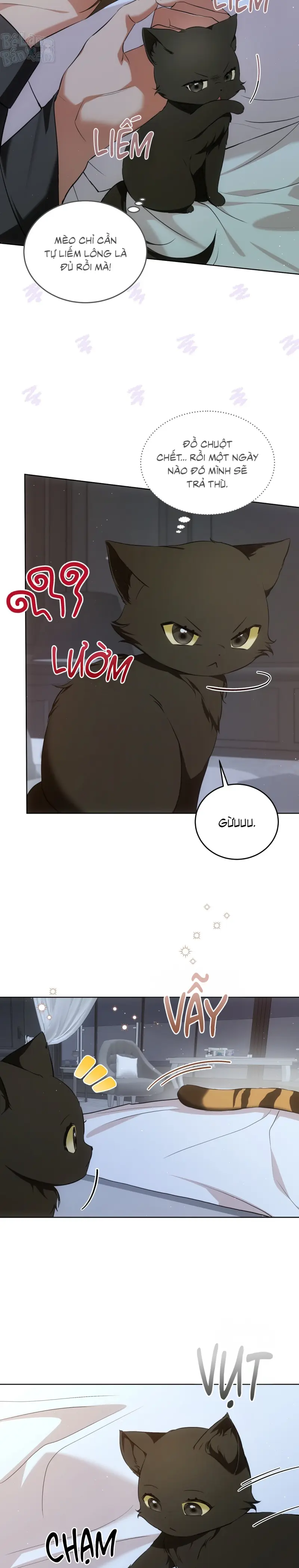 Liệu Pháp Trị Liệu Mèo Chapter 7 Trang 3
