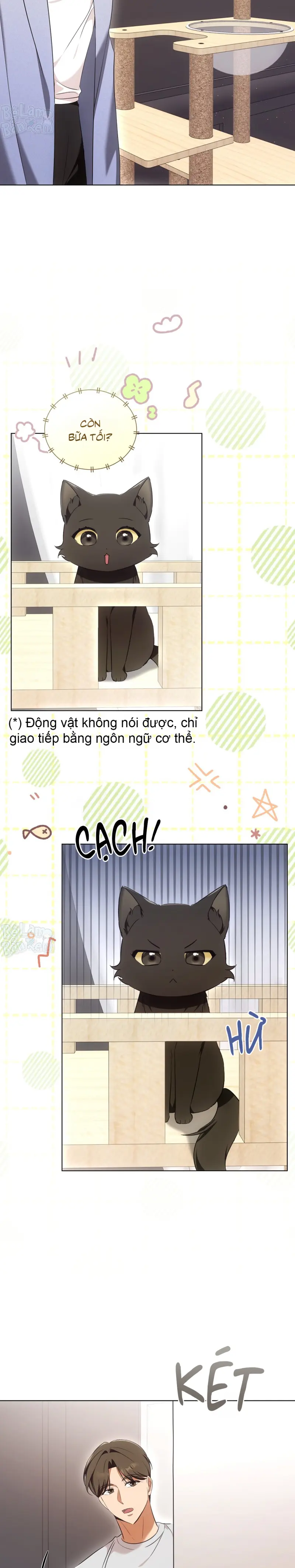 Liệu Pháp Trị Liệu Mèo Chapter 8 Trang 8