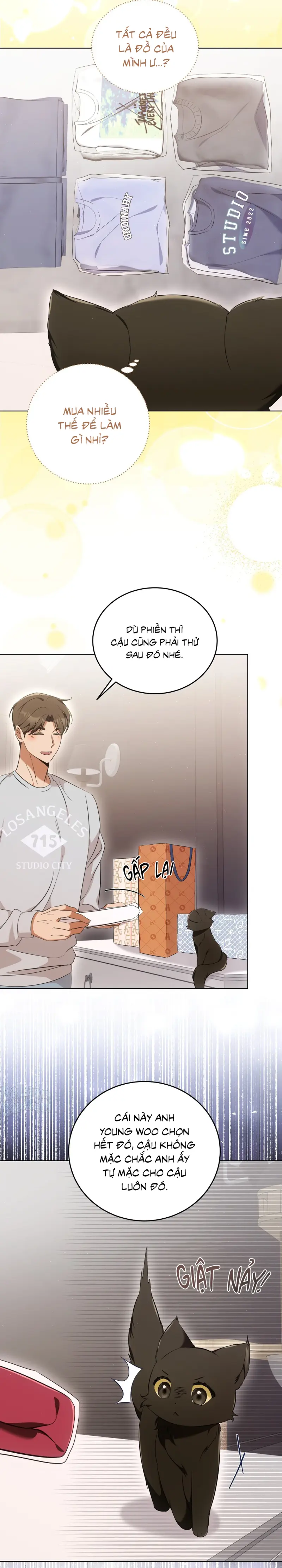 Liệu Pháp Trị Liệu Mèo Chapter 8 Trang 13