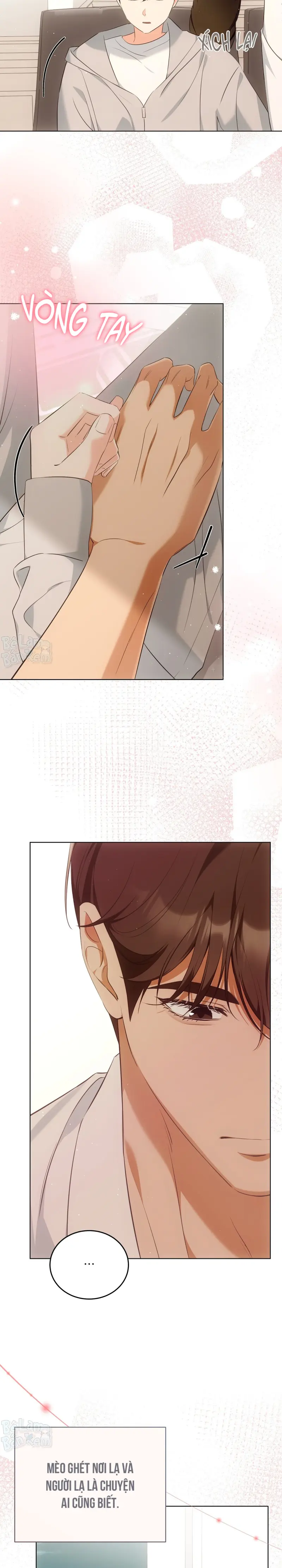 Liệu Pháp Trị Liệu Mèo Chapter 9 Trang 15