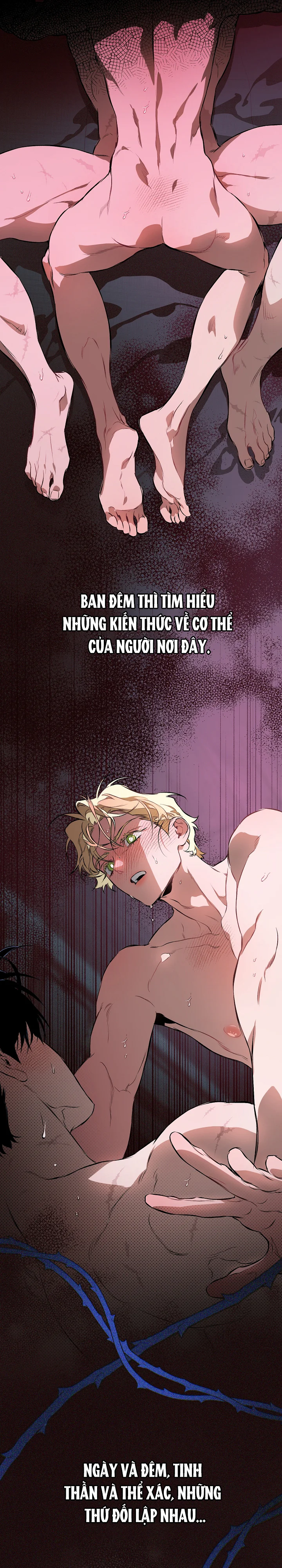 Thuần Phục Chapter 14 Trang 7