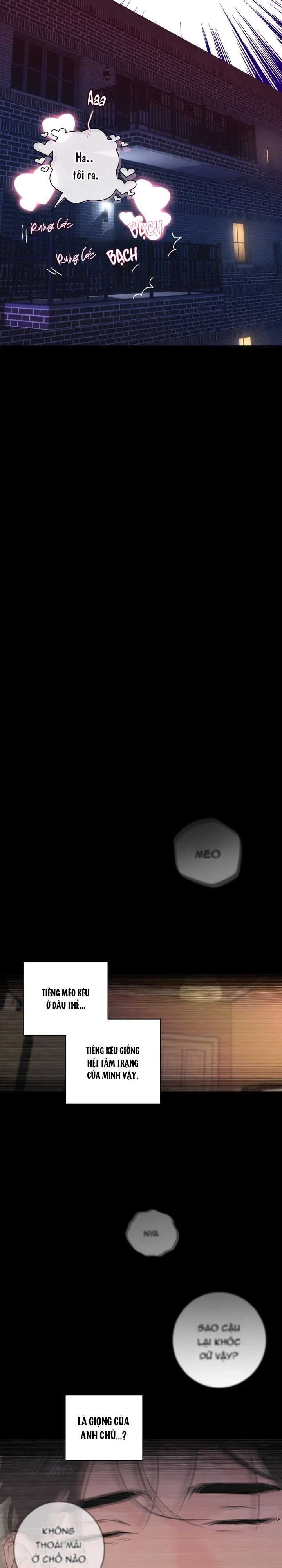 Tuyển Tập Manhwa Ngắn Bí Mật Cơ Thể Chapter 20 Trang 16