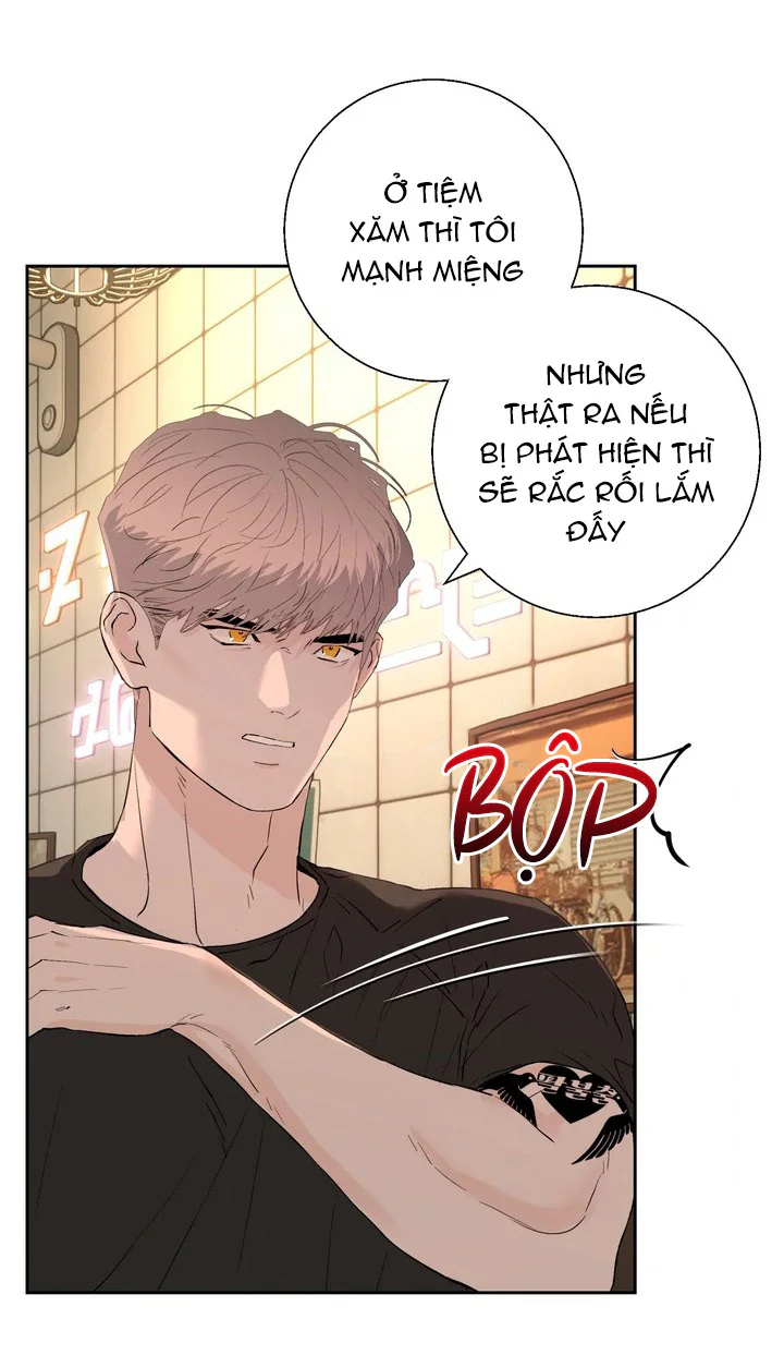 Tuyển Tập Manhwa Ngắn Bí Mật Cơ Thể Chapter 21 Trang 13