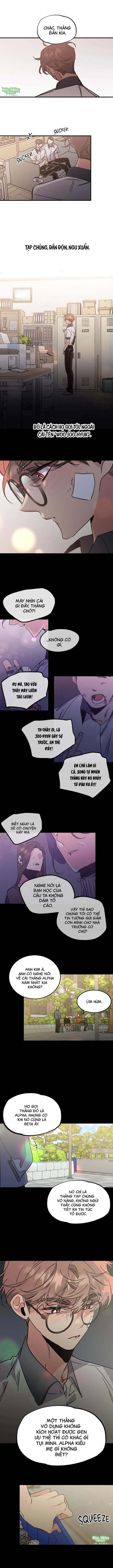 Vũ Trụ Nơi Thiên Thạch Rơi Chapter 1 Trang 3