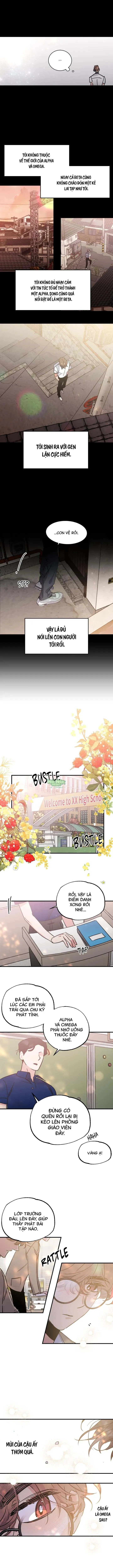 Vũ Trụ Nơi Thiên Thạch Rơi Chapter 1 Trang 4