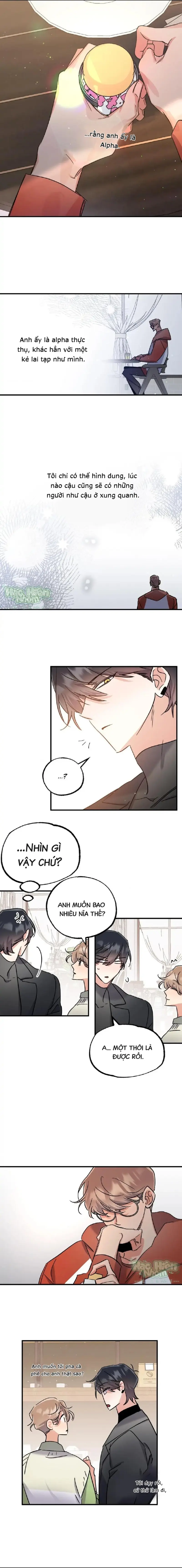 Vũ Trụ Nơi Thiên Thạch Rơi Chapter 10 Trang 4