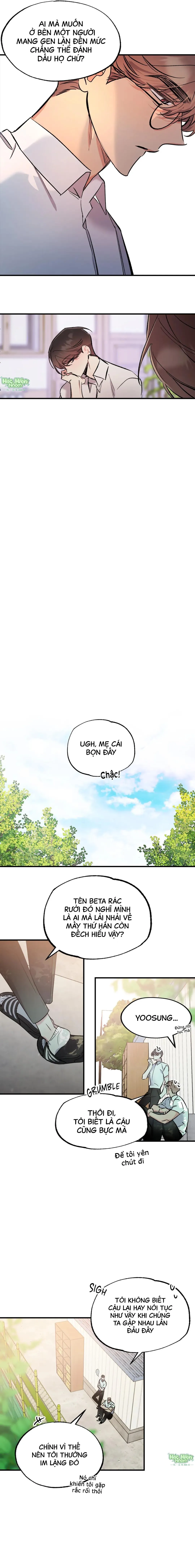 Vũ Trụ Nơi Thiên Thạch Rơi Chapter 4 Trang 4