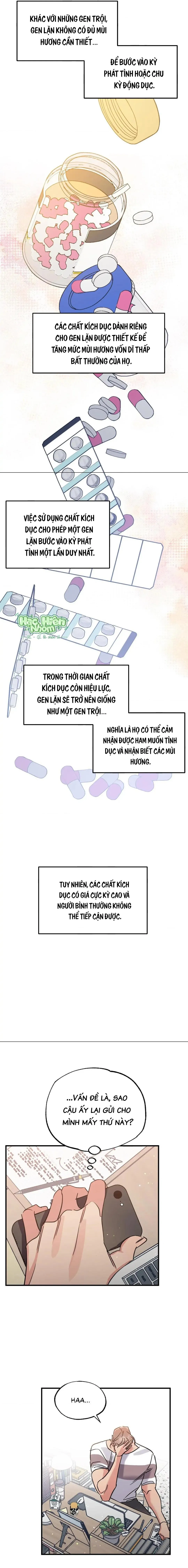 Vũ Trụ Nơi Thiên Thạch Rơi Chapter 7 Trang 10