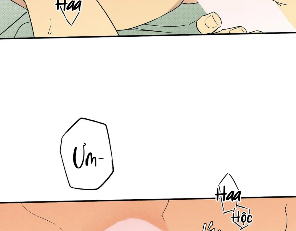 Wet Sand Chapter 36 Trang 51